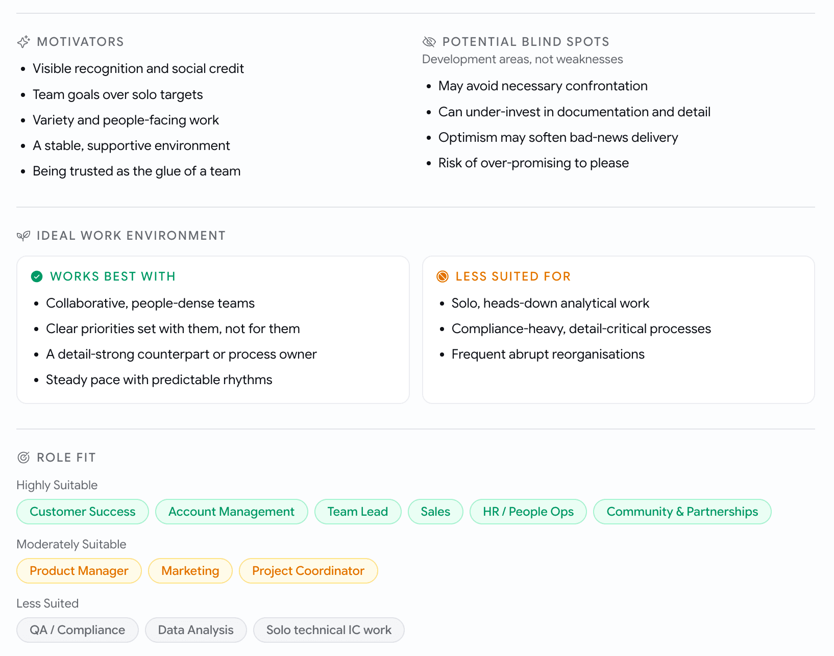 Sections headed Motivators and Potential Blind Spots as bullet lists, an Ideal Work Environment split into Works Best With and Less Suited For, and a Role Fit row of tags grouped as Highly Suitable, Moderately Suitable and Less Suited